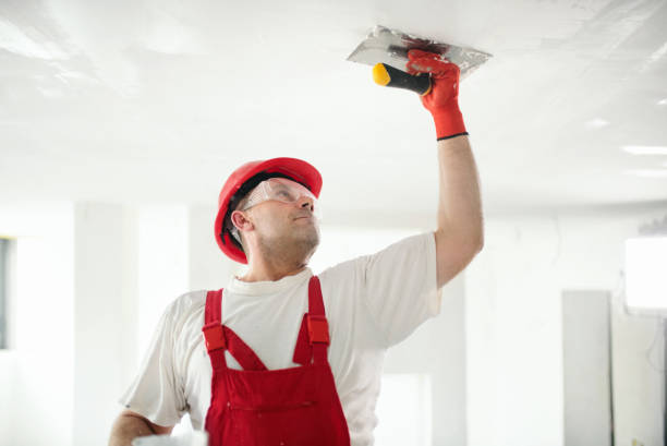 Best Ceiling Drywall Installation  in Rutherford, TN